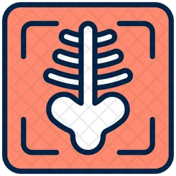 X Ray  Icon