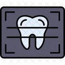 X Ray Dental X Icon