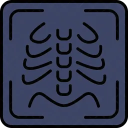 X-ray  Icon