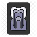 X Ray Tooth Dentist Icon