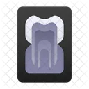 X Ray Tooth Dentist Icon