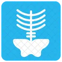 X-ray  Icon