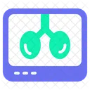 X Ray Medical Clinic Icon
