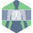 X Ray Bones Skeleton Icon