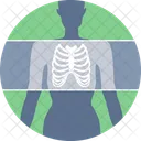 X Ray Health Care Medical Icon