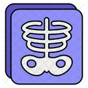 X Rays X Ray Medical Icon