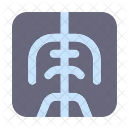 X Ray  Icon