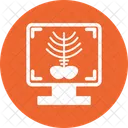 X-ray bone  Icon