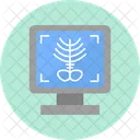 X Ray Bone Bone Broken Bone Icon