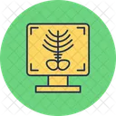 X-ray bone  Icon