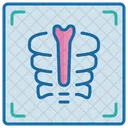 X Ray Hospital Clinic Icon