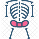 X ray  Icon