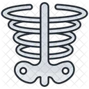 X Ray  Icon