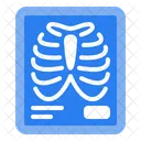 X Ray Medical Imaging Diagnosis Icon