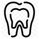 X Ray Radiology Bone Icon