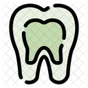 X Ray Radiology Bone Icon