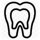 X Ray Radiology Bone Icon