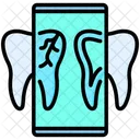 X Ray Tooth Dental Checkup Icon