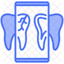 X Ray Tooth Dental Checkup Icon