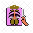 X Ray Medical Image Icon