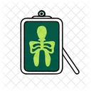 X Ray Medical Image Icon