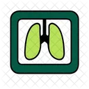 X Ray Medical Image Icon