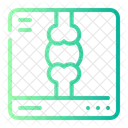X Ray Radiology Radiography Icon