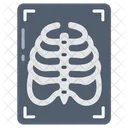 X Ray Radiography Radiogram 아이콘
