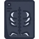 X Ray Medical Report  Icon