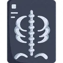 X Ray X Rays Medical Icon