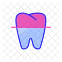 X-ray of a tooth  Icon