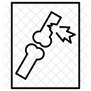 X Ray Photo Animal 아이콘