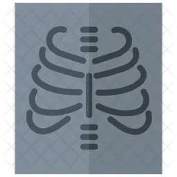 X-ray Report  Icon