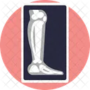 X Ray Report  Icon