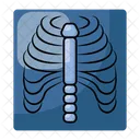 X Ray X Ray Report Icon