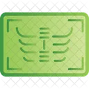 X Ray Reprot  Icon