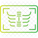 X Ray Reprot  Icon