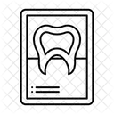 X Ray Tooth Icon