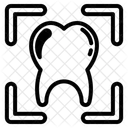 X Ray Tooth Icon
