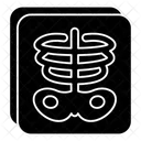 X Rays  Icon