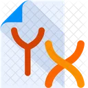 X Y Chromosome Gender Chromosome Gender Document Icon