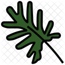 Xanadu Leaf Philodendron Icon