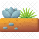 Xeriscaping Biodiversitat Sukkulenten Symbol