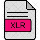 Xlr File Format Icon