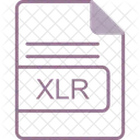 Xlr Arquivo Formato Ícone