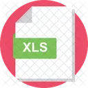 XLS file  Icon