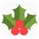 Xmas Mistletoe Green Icon