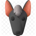 Xoloitzcuintle Haustier Tier Symbol
