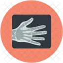 Xray Finger Bones Icon