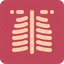 Xray Radiology Scan Icon